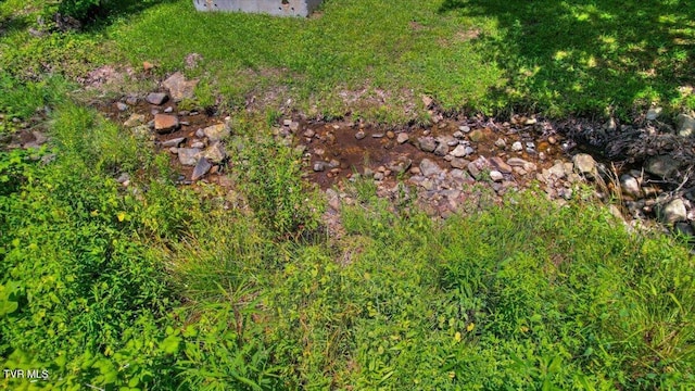 542 Sigman Hollow Rd, Bluff City, TN 37618 - view of yard