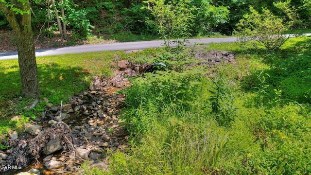 542 Sigman Hollow Rd, Bluff City, TN 37618 - view of yard