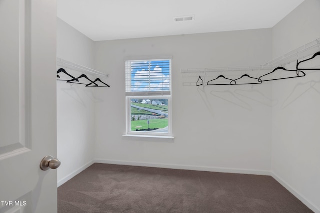 445 Rock Springs Rd, Kingsport, TN 37663 - photo 32