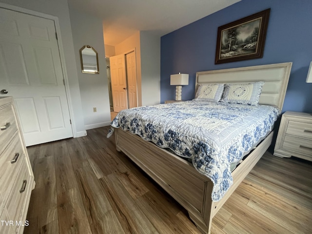 102 Baskins Creek Byp Unit 209, Gatlinburg, TN 37738 - bedroom with dark wood-style flooring and a closet