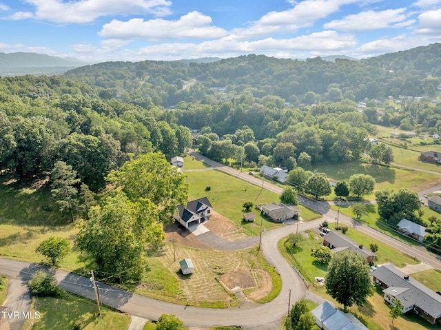 638 Kincaid St, Kingsport, TN 37660 - photo 4
