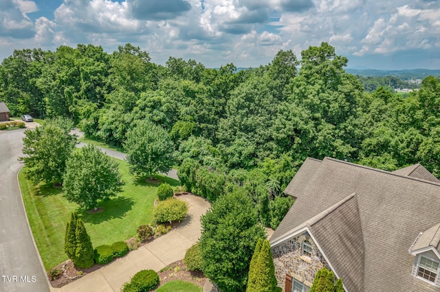 1184 Cliffview Cir, Johnson City, TN 37615 - photo 6