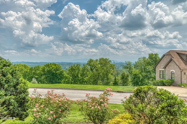 1184 Cliffview Cir, Johnson City, TN 37615 - photo 14