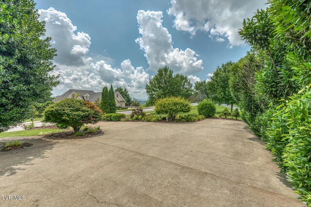 1184 Cliffview Cir, Johnson City, TN 37615 - photo 129