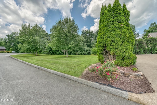 1184 Cliffview Cir, Johnson City, TN 37615 - photo 132