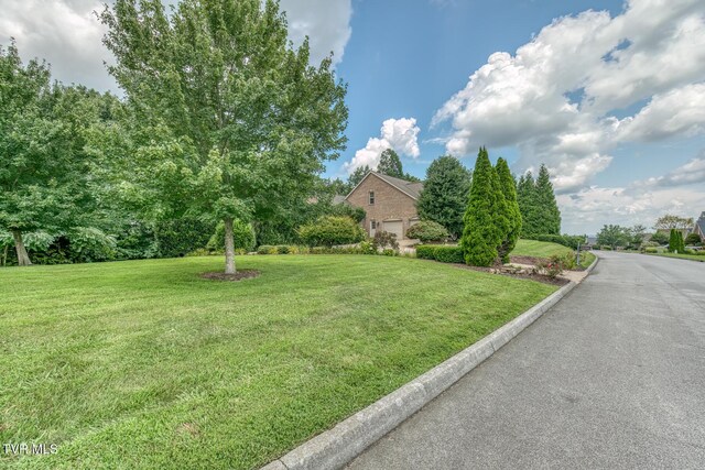 1184 Cliffview Cir, Johnson City, TN 37615 - photo 133