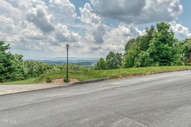 1184 Cliffview Cir, Johnson City, TN 37615 - photo 134
