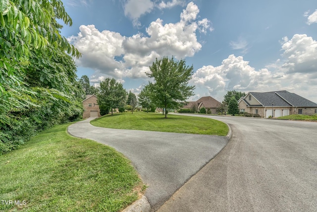 1184 Cliffview Cir, Johnson City, TN 37615 - photo 135