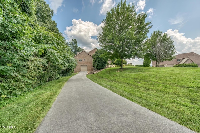 1184 Cliffview Cir, Johnson City, TN 37615 - photo 136