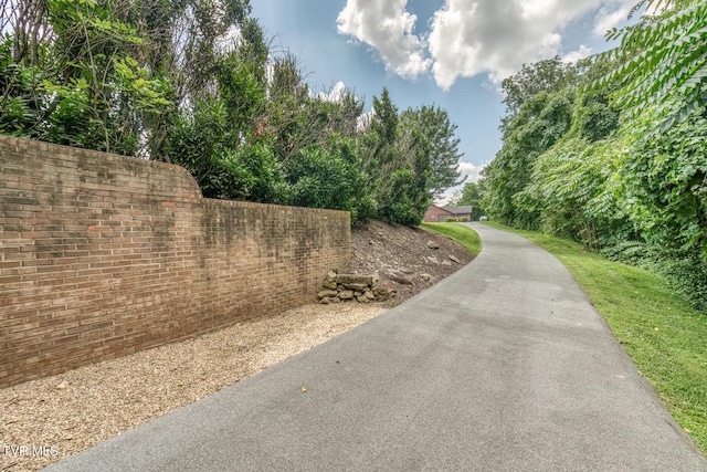 1184 Cliffview Cir, Johnson City, TN 37615 - photo 138