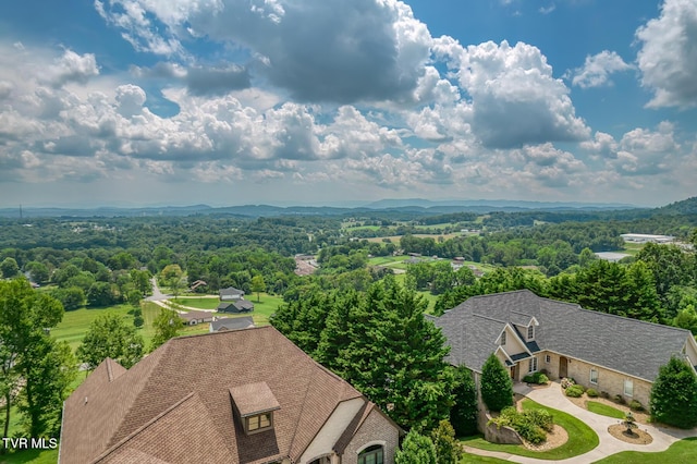 1184 Cliffview Cir, Johnson City, TN 37615 - photo 140