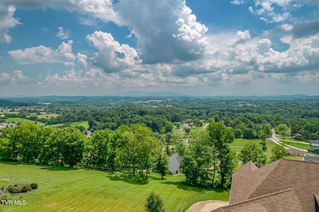 1184 Cliffview Cir, Johnson City, TN 37615 - photo 141