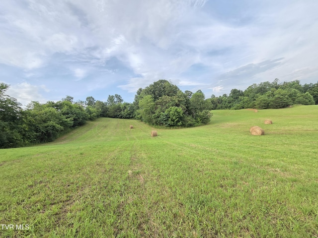 12.14AC Mockingbird Pl, Jonesborough, TN 37659 - photo 1