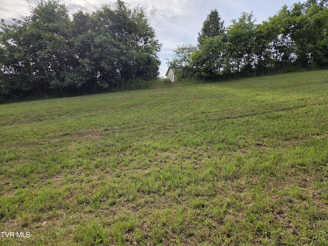 12.14AC Mockingbird Pl, Jonesborough, TN 37659 - photo 2