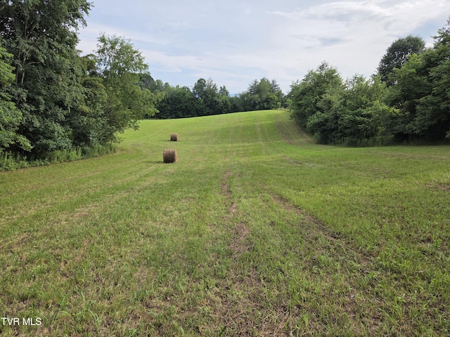 12.14AC Mockingbird Pl, Jonesborough, TN 37659 - photo 3