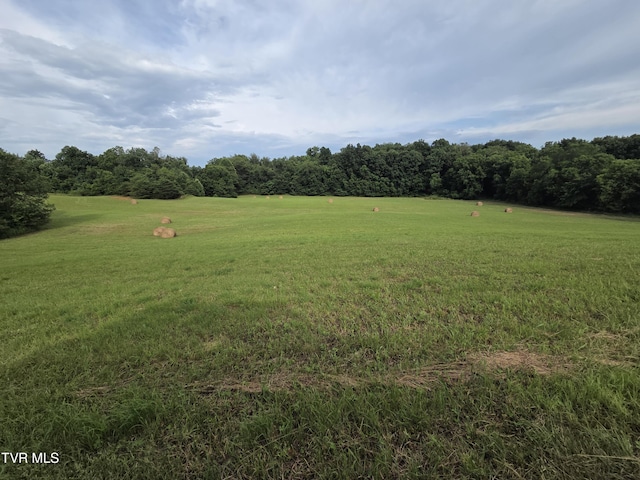 12.14AC Mockingbird Pl, Jonesborough, TN 37659 - photo 4