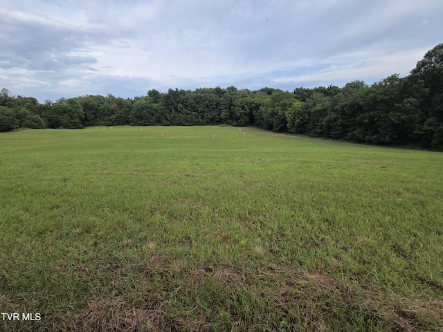 12.14AC Mockingbird Pl, Jonesborough, TN 37659 - photo 5