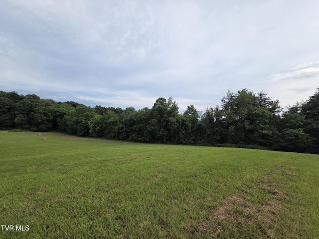 12.14AC Mockingbird Pl, Jonesborough, TN 37659 - photo 6