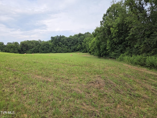 12.14AC Mockingbird Pl, Jonesborough, TN 37659 - photo 7