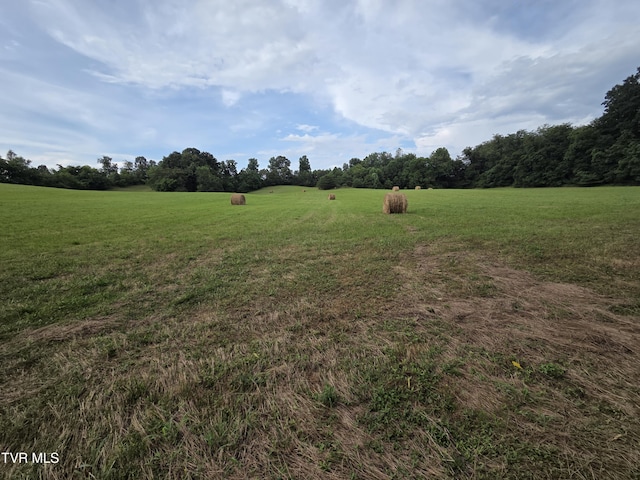 12.14AC Mockingbird Pl, Jonesborough, TN 37659 - photo 10