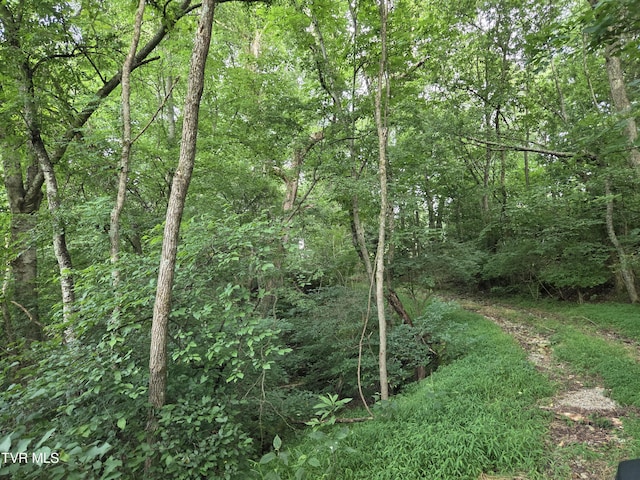 12.14AC Mockingbird Pl, Jonesborough, TN 37659 - photo 11