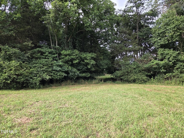 12.14AC Mockingbird Pl, Jonesborough, TN 37659 - photo 14