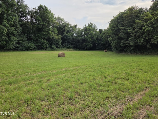 12.14AC Mockingbird Pl, Jonesborough, TN 37659 - photo 16