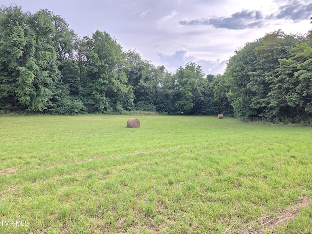 12.14AC Mockingbird Pl, Jonesborough, TN 37659 - photo 17