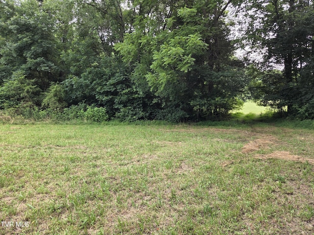 12.14AC Mockingbird Pl, Jonesborough, TN 37659 - photo 18