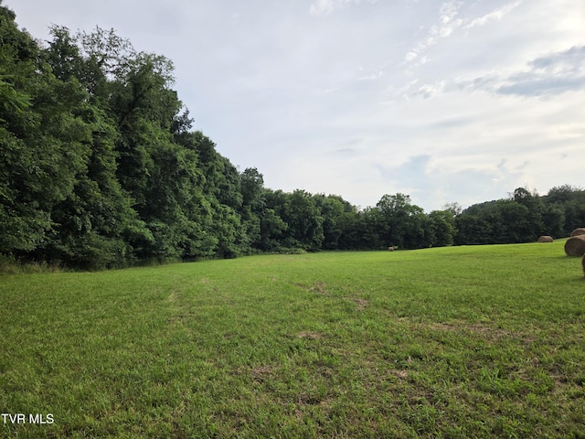 12.14AC Mockingbird Pl, Jonesborough, TN 37659 - photo 19