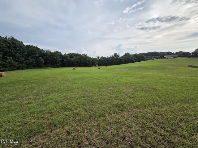 12.14AC Mockingbird Pl, Jonesborough, TN 37659 - photo 20