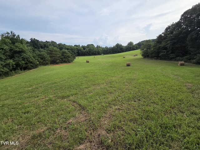12.14AC Mockingbird Pl, Jonesborough, TN 37659 - photo 21