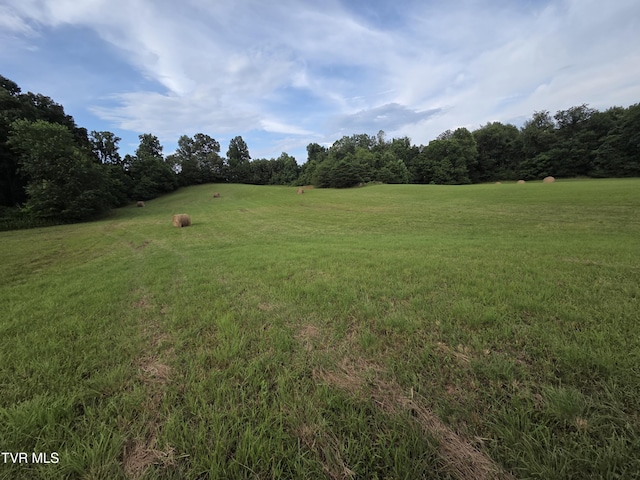 12.14AC Mockingbird Pl, Jonesborough, TN 37659 - photo 22