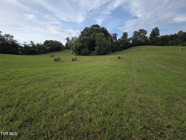 12.14AC Mockingbird Pl, Jonesborough, TN 37659 - photo 23