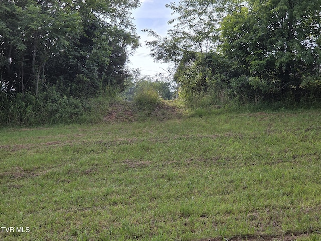 12.14AC Mockingbird Pl, Jonesborough, TN 37659 - photo 25