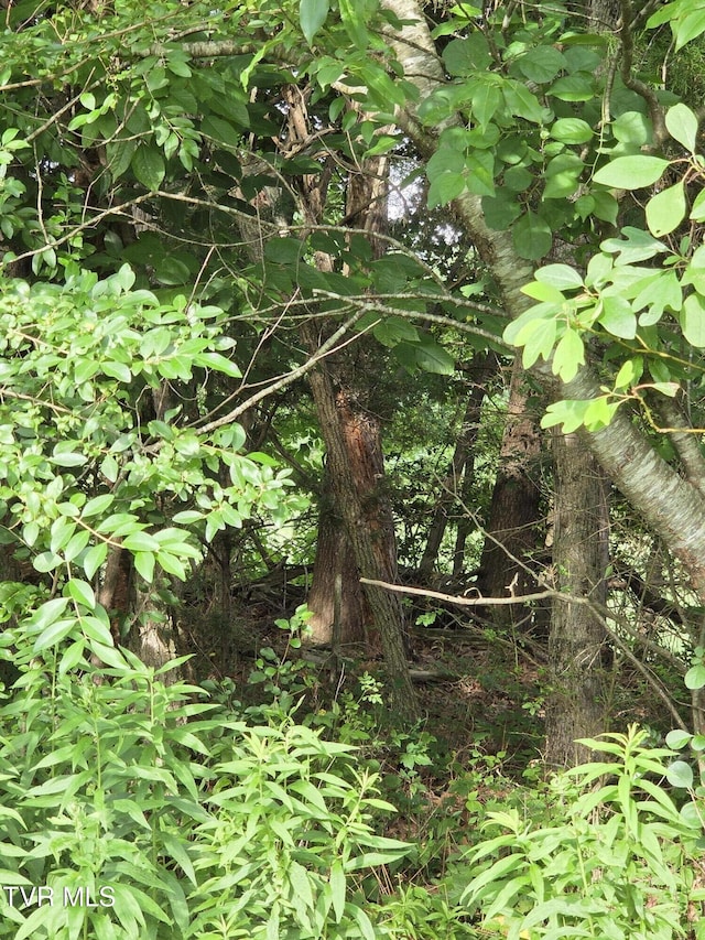 12.14AC Mockingbird Pl, Jonesborough, TN 37659 - photo 24