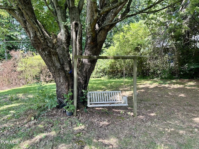 1277 Old Jonesboro Rd, Bristol, TN 37620 - view of yard