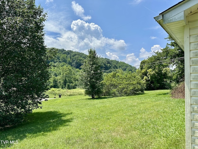 1277 Old Jonesboro Rd, Bristol, TN 37620 - view of green lawn