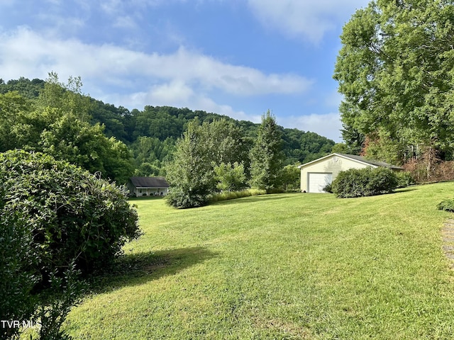 1277 Old Jonesboro Rd, Bristol, TN 37620 - view of green lawn with a detached garage and a view of trees