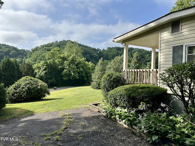 1277 Old Jonesboro Rd, Bristol, TN 37620 - view of grassy yard with a wooded view