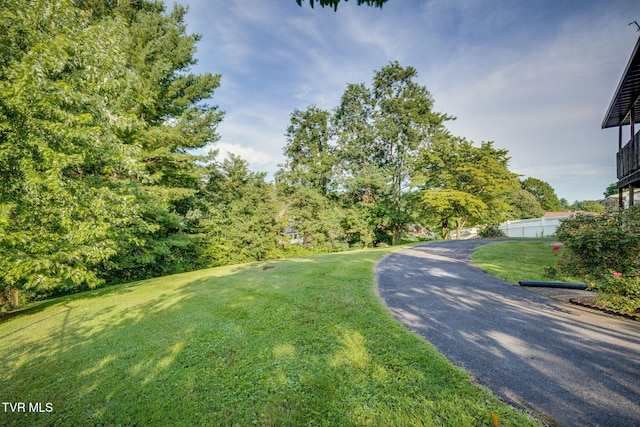 272 Fain Rd, Blountville, TN 37617 - photo 29