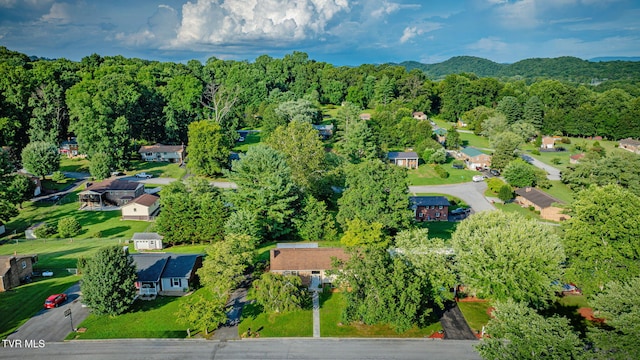 272 Fain Rd, Blountville, TN 37617 - photo 32
