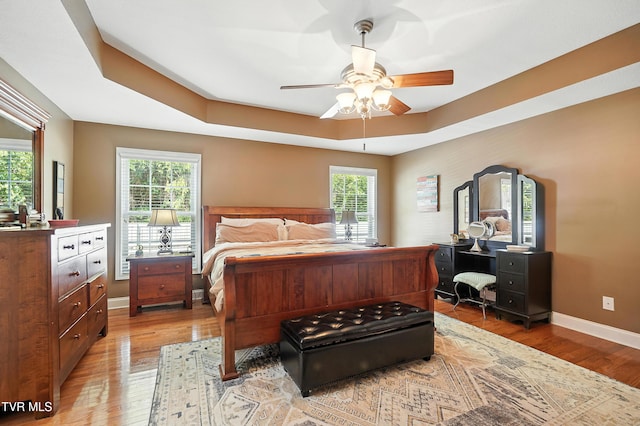 1014 Fox Meadow Cir, Bluff City, TN 37618 - bedroom with multiple windows, light wood finished floors, and a raised ceiling