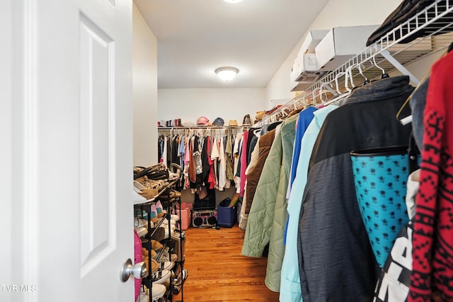 1014 Fox Meadow Cir, Bluff City, TN 37618 - spacious closet featuring wood finished floors