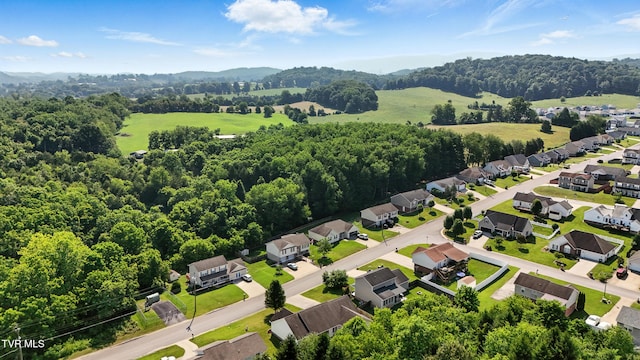 1014 Fox Meadow Cir, Bluff City, TN 37618 - aerial view of residential area