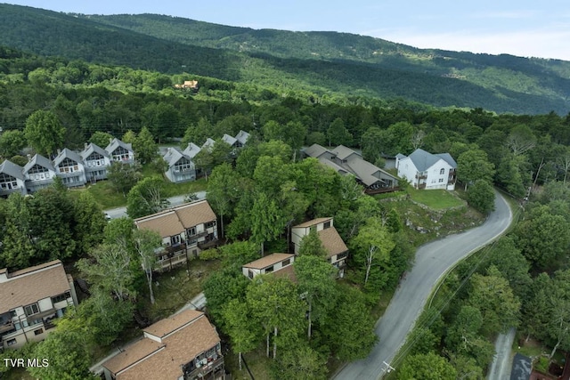 220 Northridge Rd Unit D15, Beech Mountain, NC 28604 - photo 31