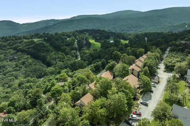 220 Northridge Rd Unit D15, Beech Mountain, NC 28604 - photo 35