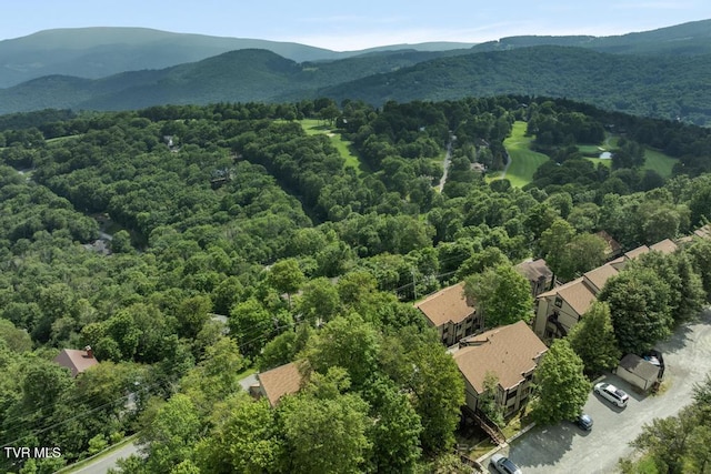 220 Northridge Rd Unit D15, Beech Mountain, NC 28604 - photo 3
