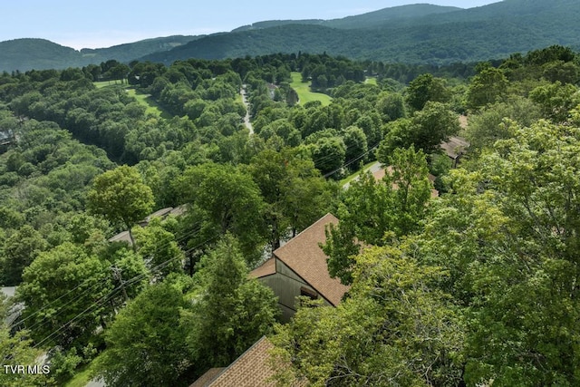 220 Northridge Rd Unit D15, Beech Mountain, NC 28604 - photo 36