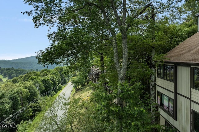 220 Northridge Rd Unit D15, Beech Mountain, NC 28604 - photo 39